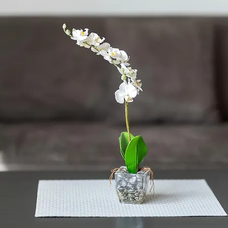 Eva Διαμέρισμα Grebenhain