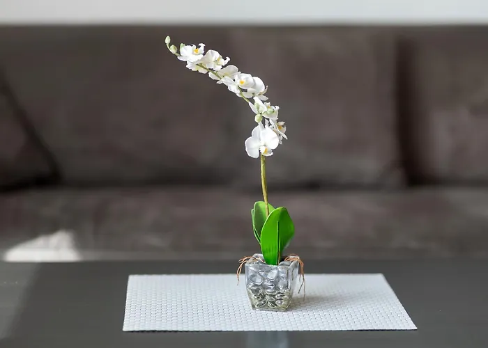 Eva Апартаменты Grebenhain