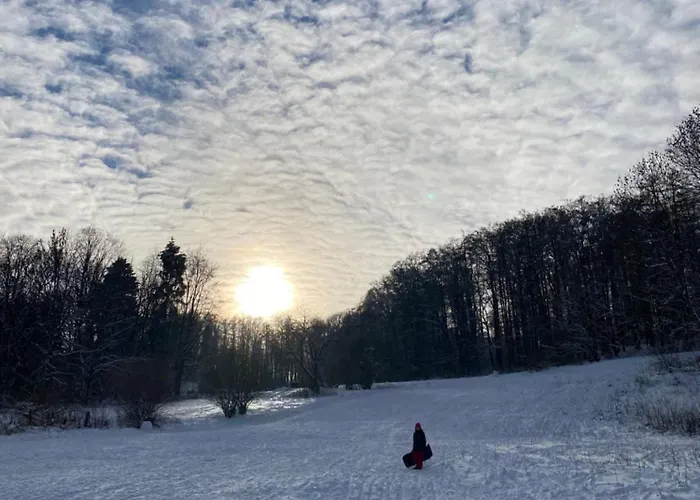 Eva Апартаменты Grebenhain